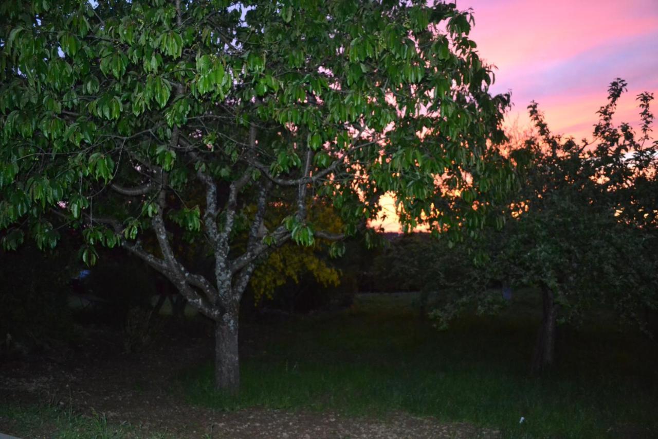 Maison Du Chien Vert Corbion Dış mekan fotoğraf